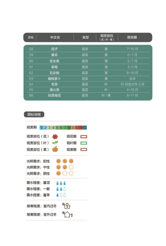 窗陽臺哪些花好看又好養(yǎng)？官方版66種觀賞植物有多肉有蔬菜(圖3)